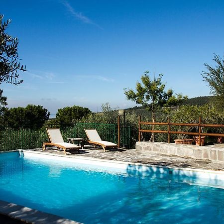 Genius Apartments San Savino  外观 照片